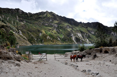 Two horses rest quietly on the shore of quilotoa lake in ecuadorのeditorial素材
