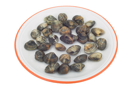 Clamsの写真素材