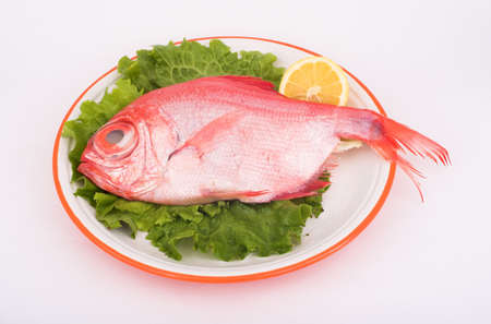 Red Bream ( fish )の写真素材
