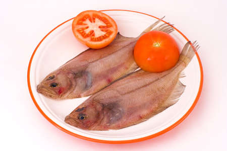 Megrim fishの写真素材