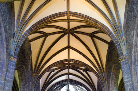 Ceiling of old european cathedralの写真素材