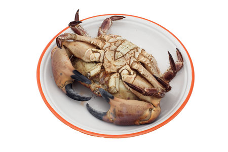 Crab upside downの写真素材