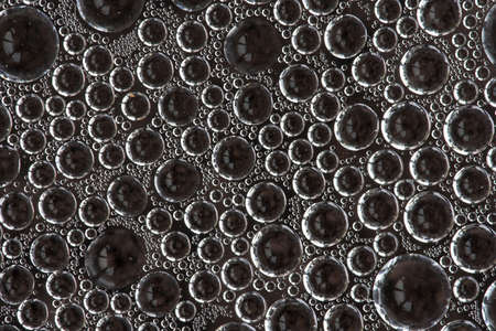 close-up of water condensation inside a greenhouseの写真素材