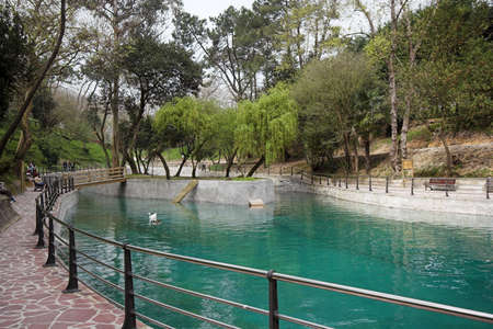 nice garden with duck pool, Santander, Cantabria, Spainの写真素材