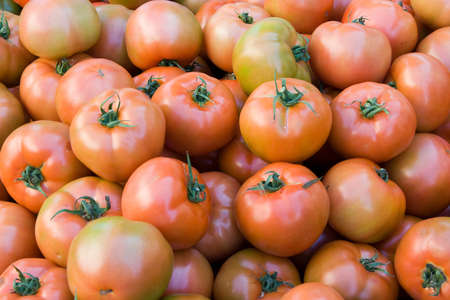pile of tomatoes at the marketの写真素材