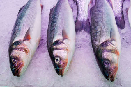 fresh seabass at the fish marketの写真素材