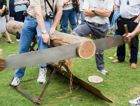competition of trunk saw の写真素材