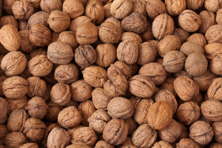 Nuts, for image backgrounds or food illustration