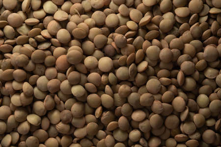 Many Raw Organic Lentils, Top viewの写真素材