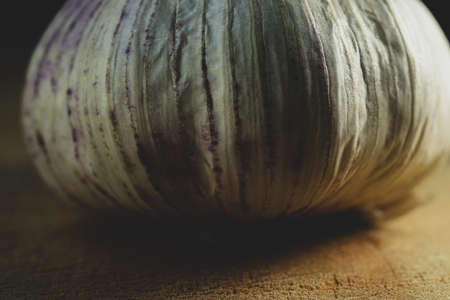 Professional Macro portrait of Garlic Skin detailsの写真素材