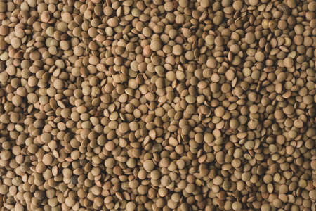 Many Raw Organic Lentils, Top viewの写真素材