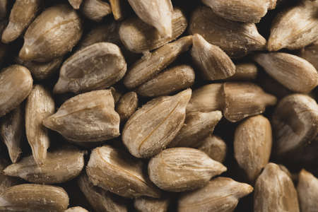 Sunflower seeds macro close upの写真素材