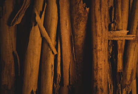 Macro close up portrait of cinnamon sticks, studio lighting, selective focusの写真素材