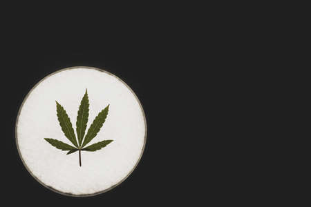 Macro close up portrait of cannabis marijuana plant leaf, studio lighting, selective focusの写真素材