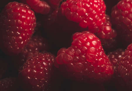 Macro close up portrait of raspberry fruit details, selective focusの写真素材