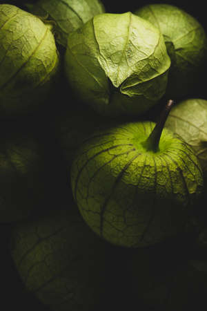 Macro close up portrait of tomatillo, Mexican husk tomato, selective focusの写真素材