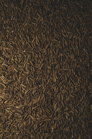 Macro close up of cumin seeds, selective focus