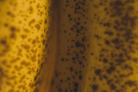 Banana skin Macro close up, selective focusの写真素材