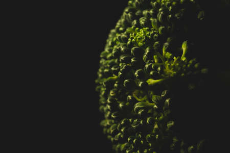 Organic Broccoli Macro close up, selective focusの写真素材