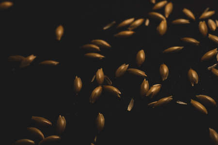 Bird seeds, Macro close up, selective focusの写真素材