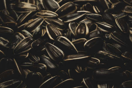 Organic Sunflower seeds Macro close up, selective focusの写真素材