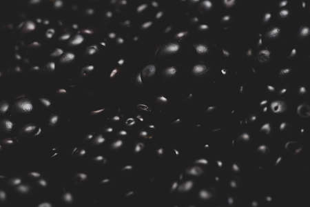 Blackberries Macro close up, selective focusの写真素材