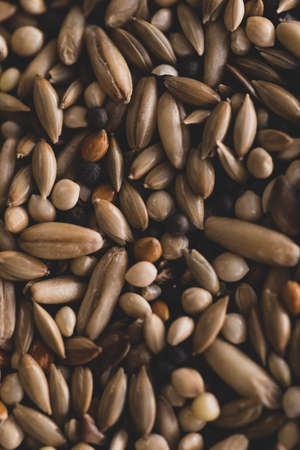Mixed Bird seeds macro close up, selective focusの写真素材