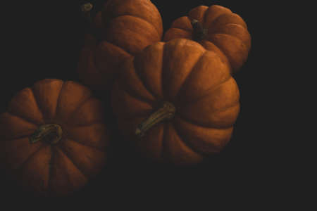 jack be little Pumpkin macro close up selective focusの写真素材