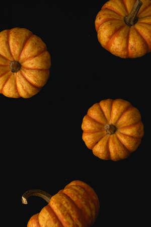 Small Hooligan orange and yellow Pumpkin Macro close up, selective focusの写真素材