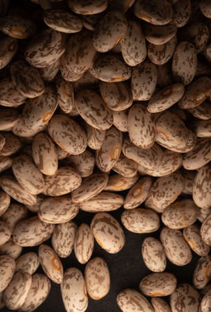 Pinto beans macro close up, selective focusの写真素材