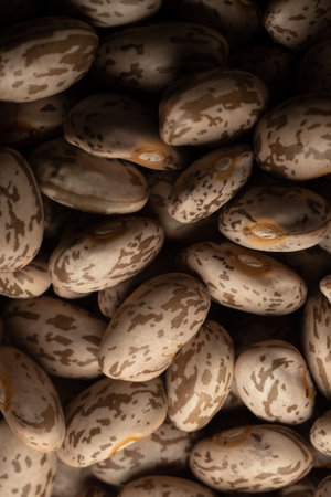 Pinto beans macro close up, selective focus