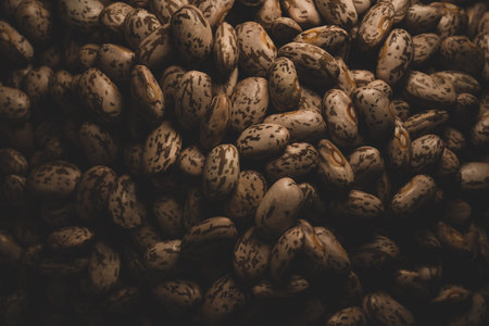 Pinto beans macro close up, selective focus