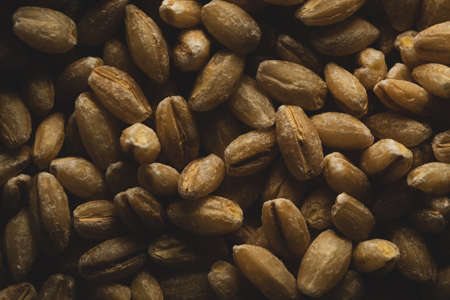 Pearl Barley macro close up, selective focusの写真素材