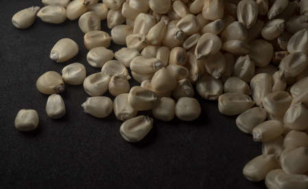 Mexican White Corn macro close up, selective focusの写真素材