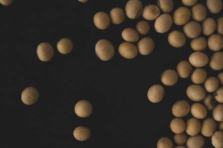 Organic Soybean macro close up, selective focusの写真素材