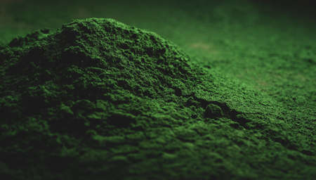 Spirulina Powder macro close up, selective focusの写真素材