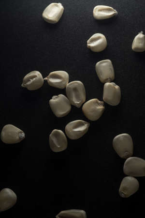 Mexican White Corn macro close up, selective focusの写真素材