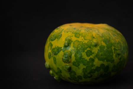 Exotic pumpkin macro close up, selective focusの写真素材