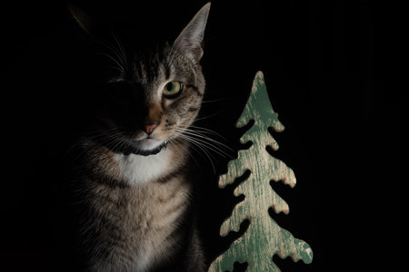 Dark Portrait of a cat next to a wooden Christmas tree decorationの写真素材