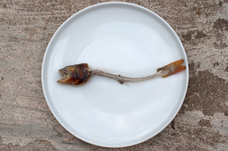 Fish bone