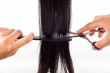 scissors and hair on a white backgroundの写真素材