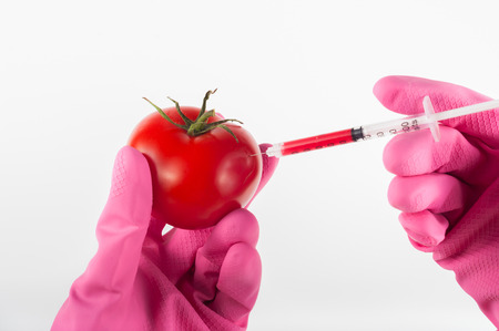 modified tomato with syringe by handの写真素材