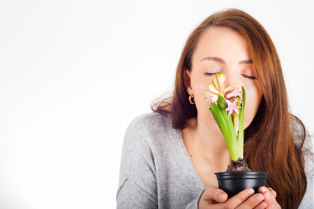 woman's hands holding house plant hyacinth isolated on white backgroundの写真素材