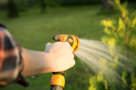 Watering green tree with hose. Gardening conceptの写真素材