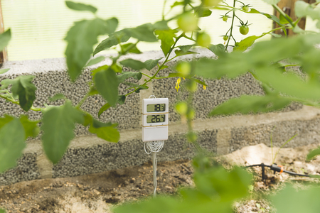 Measurement and control of temperature in the greenhouseの写真素材