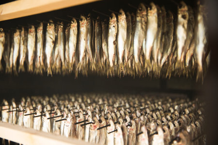 Smoked fish hanging in a smokehouse