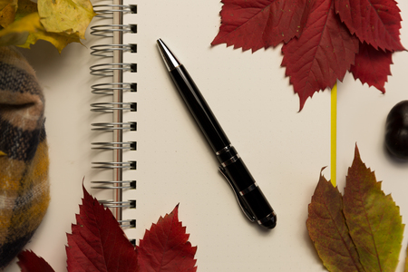 Writing-book and autumn leaves. Concept for Back to schoolの写真素材