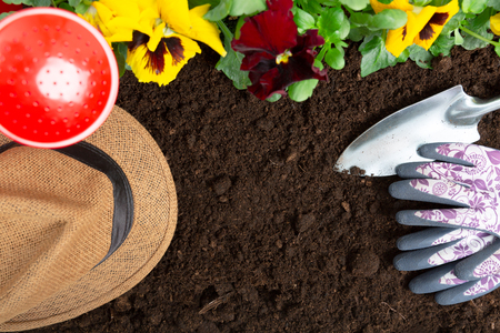 Gardening tools on soil background. Planting spring pansy flower in garden. Spring garden work conceptの写真素材