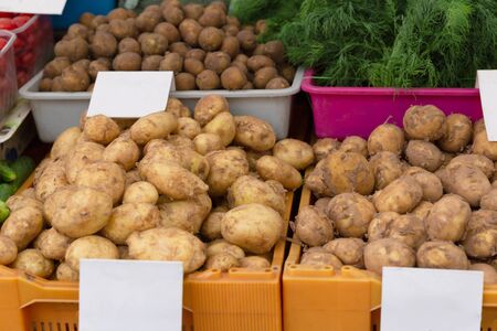 Fresh organic and vegetables at farmers market in cityの写真素材