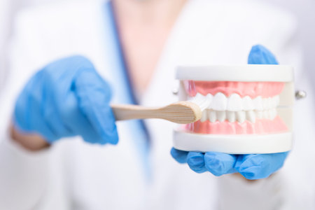 Female dentist explain about brushing teeth in clinic, holding tooth brush and teeth model. Dental...
